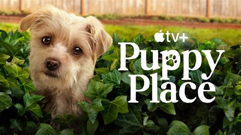 Puppy Place — First Look .